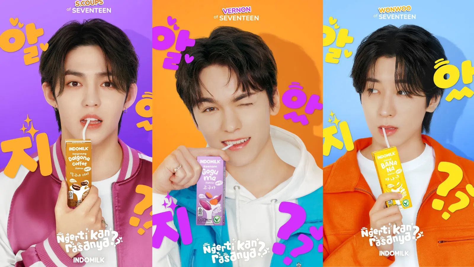 Indomilk x Seventeen Members